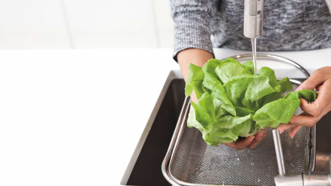 Close up shot of a woman washing a head of lettuce in a sink.