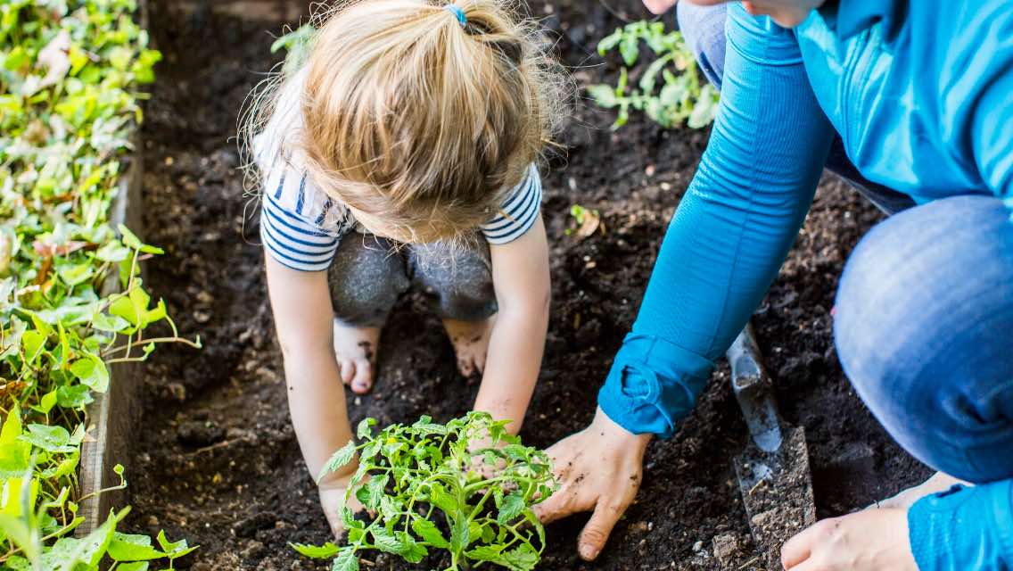Small girl and her mother planning outside in a garden.
