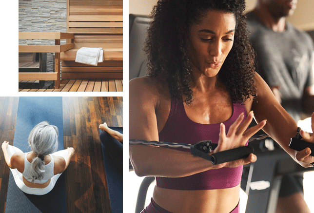 Lifetime fitness shop guest pass