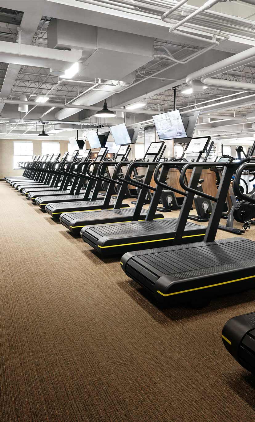 rows of cardio machines in a workout area