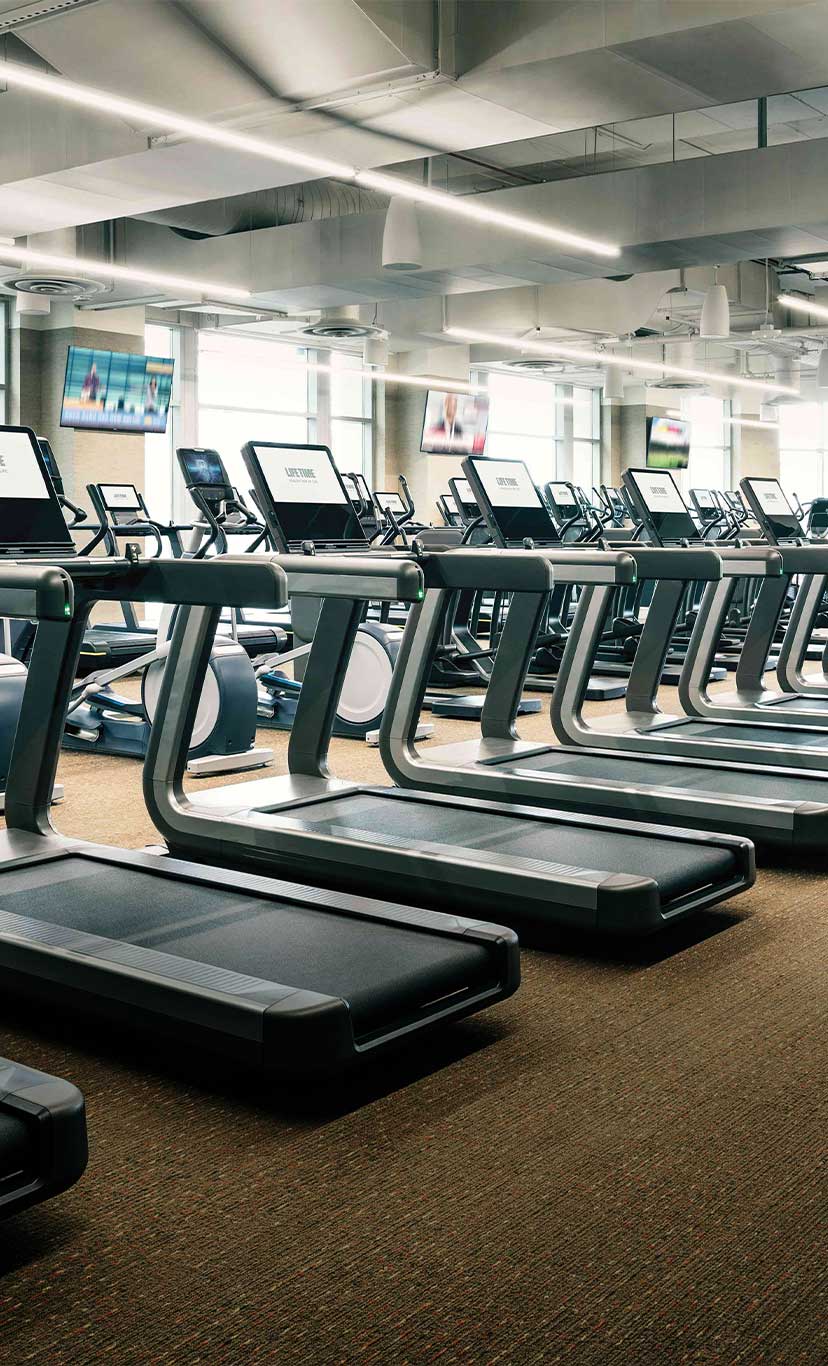 rows of cardio machines and treadmills in a workout area