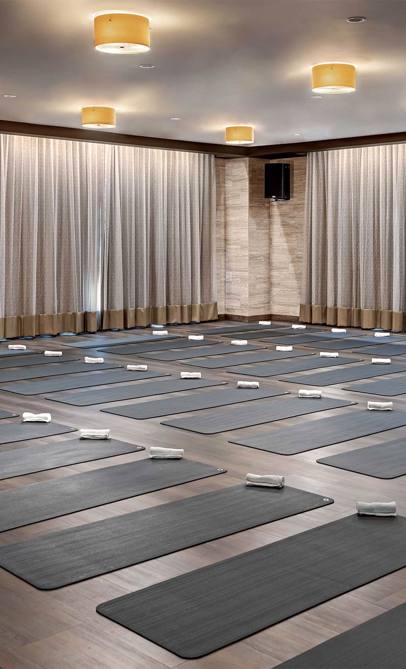rows of yoga mats laid out in a yoga studio for class