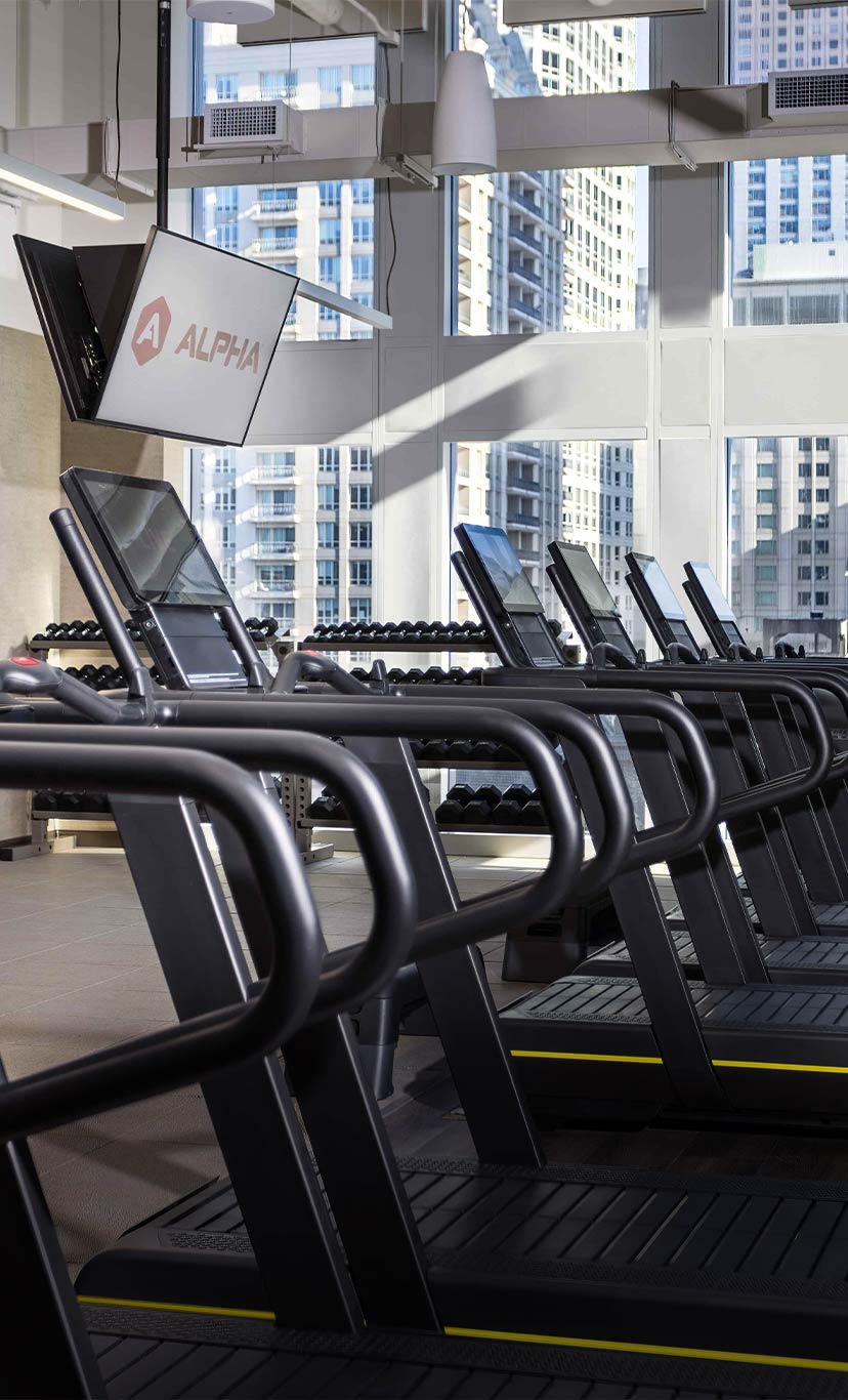 rows of treadmills next to floor to ceiling windows