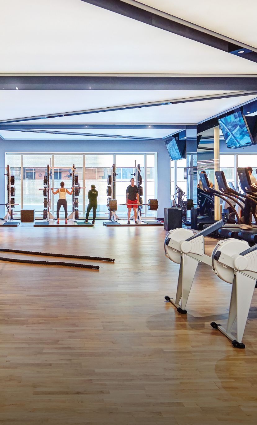 rowing machines, free weights, training equipment on an expansive fitness floor