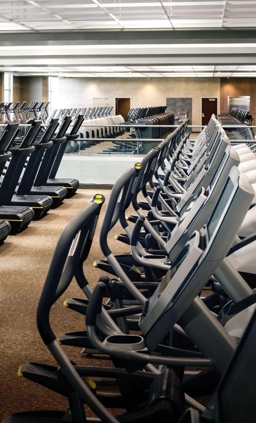 Rows of ellipticals in a workout space