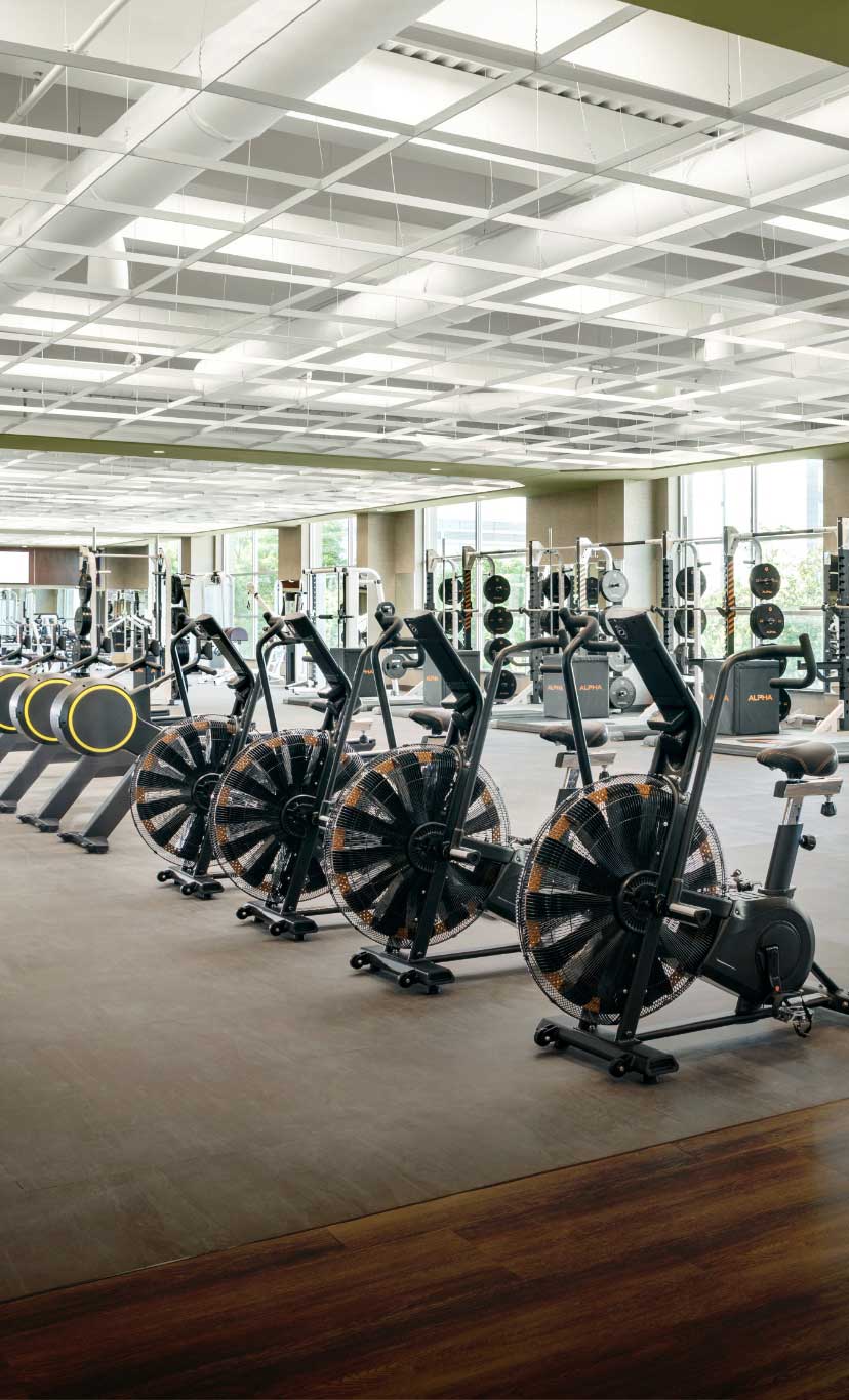 stationary bikes, free weights, and weight macines on an expansive fitness floor
