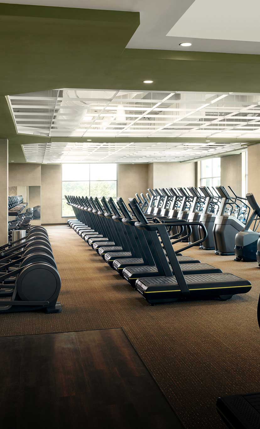 rows of cardio machines in a workout area