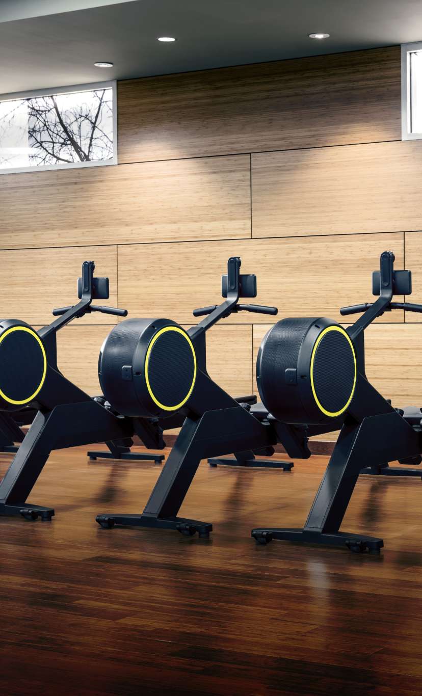 a row of cardio rowing machines
