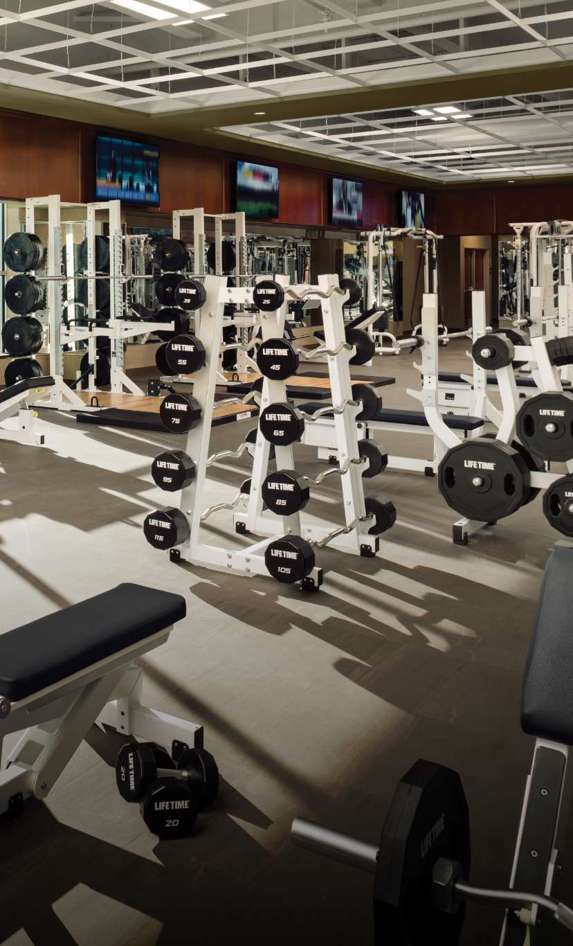an expansive weight training floor with many machines and free weights