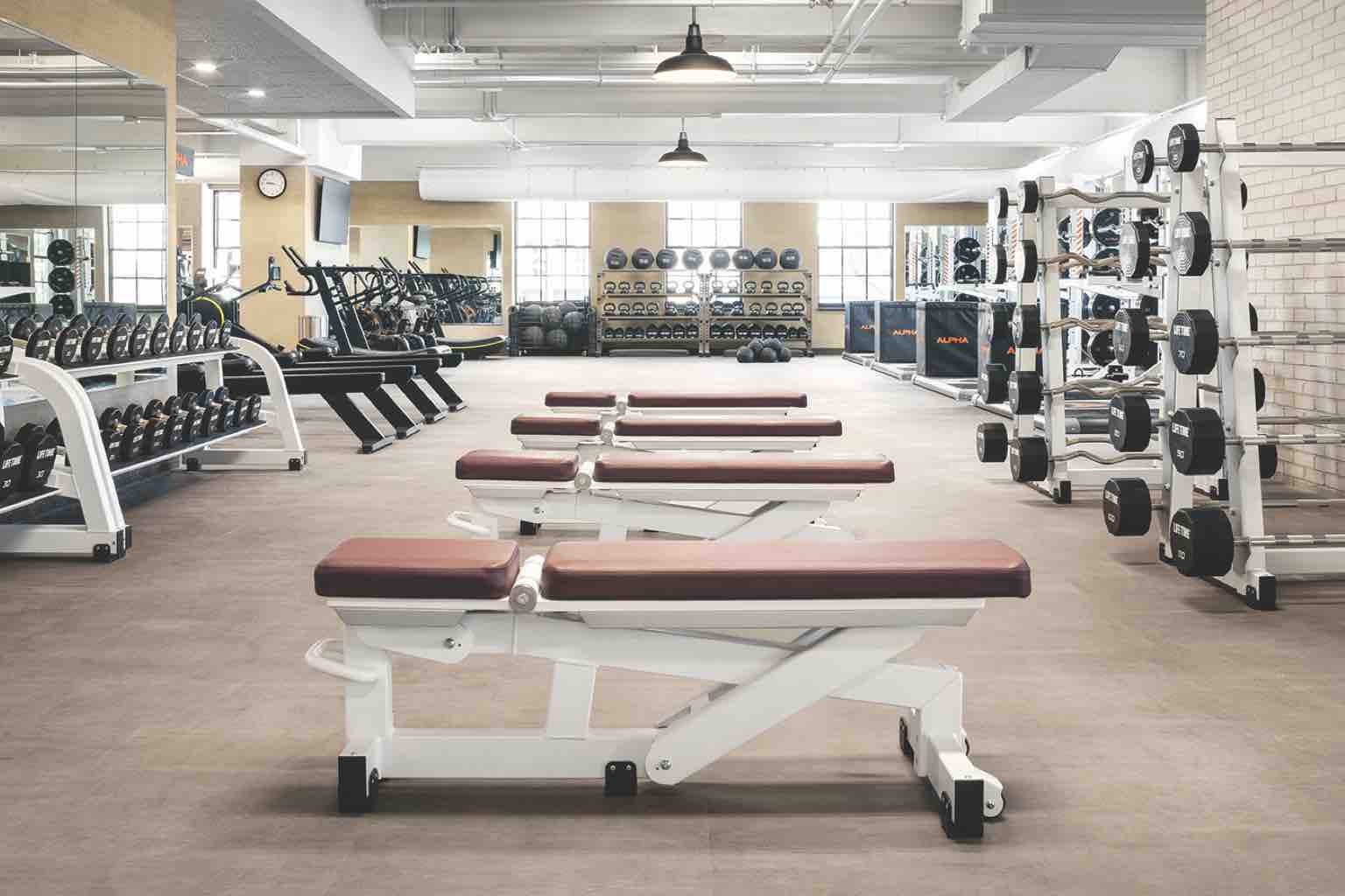 Luxury Health Club and Gym Life Time Ardmore