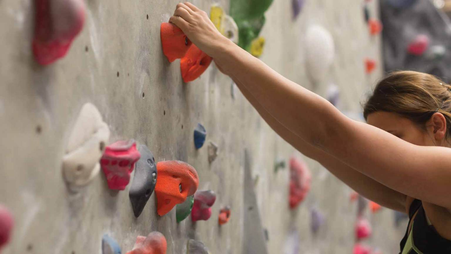 Climbing Wall at Life Time Indoor Rock Climbing for the Family