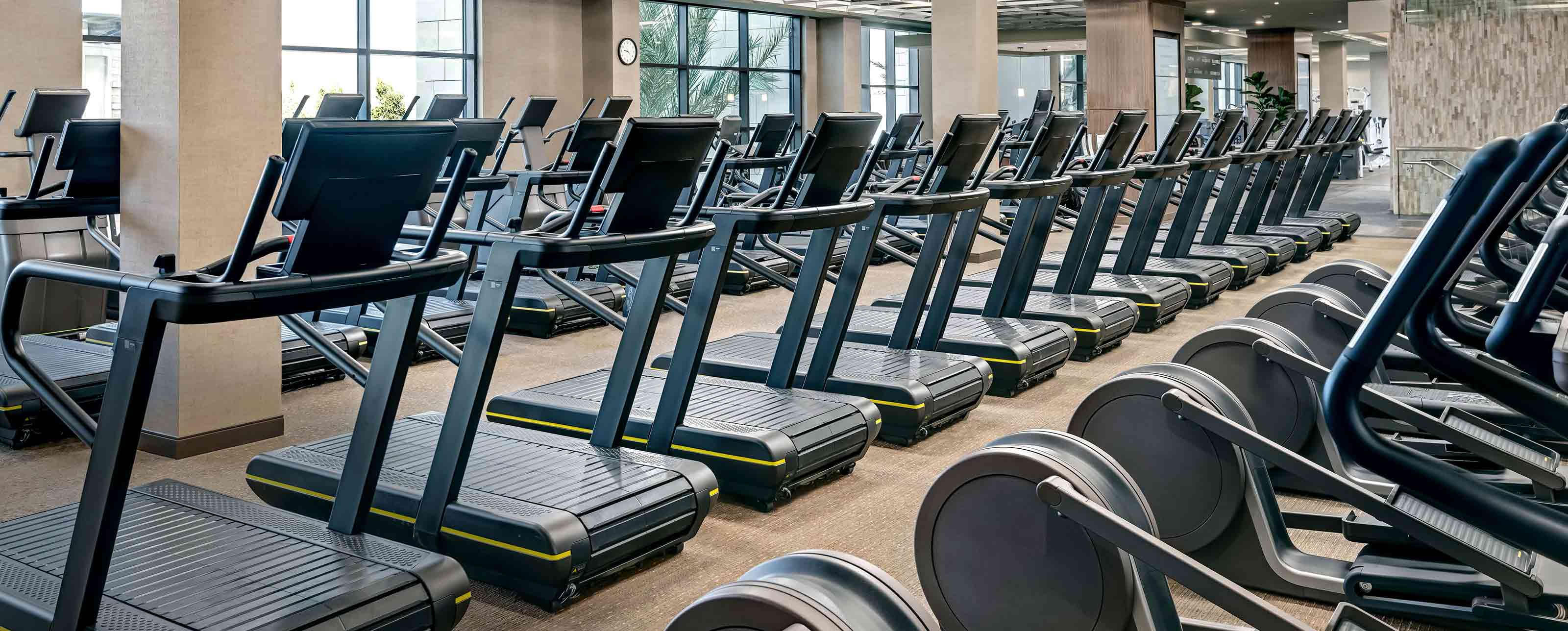 Rows of treadmills and cardio machines in a fitness area