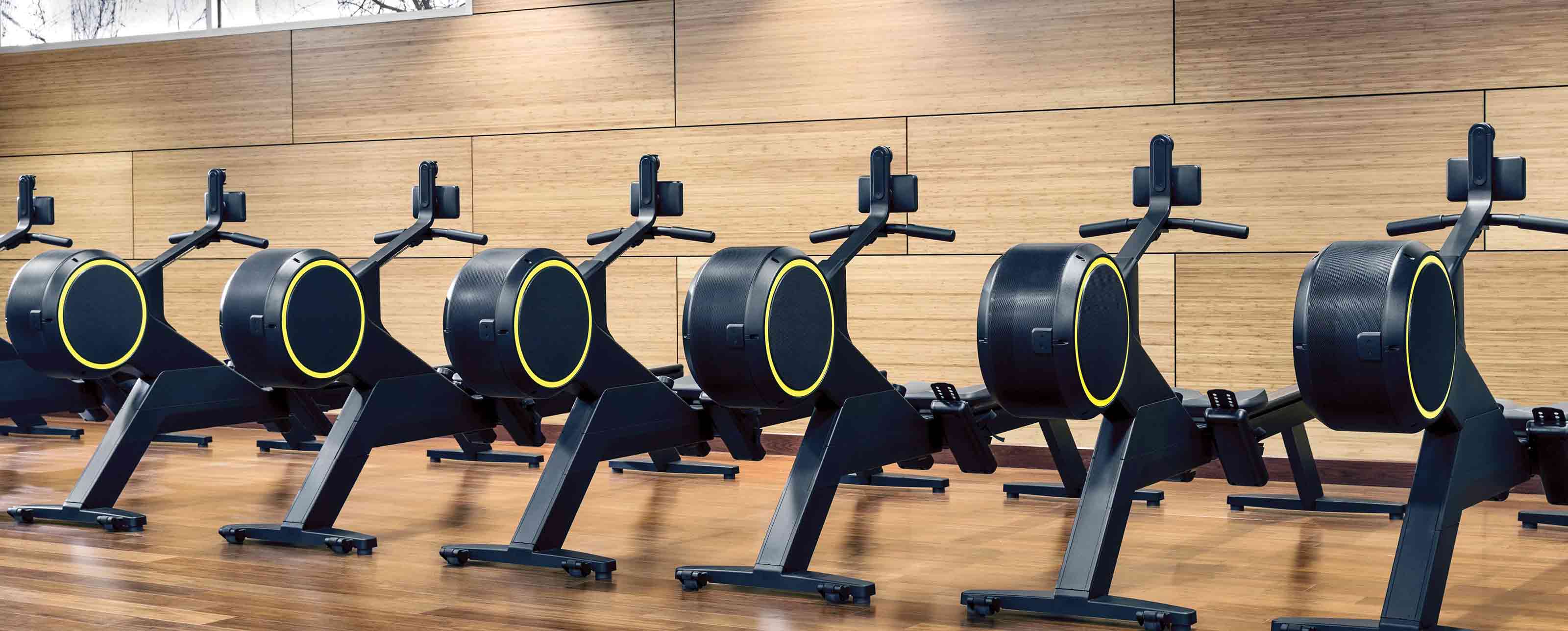 A row of rowing machines